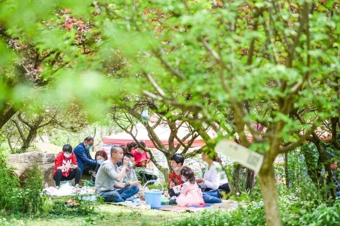 运动|处暑养生 话运动