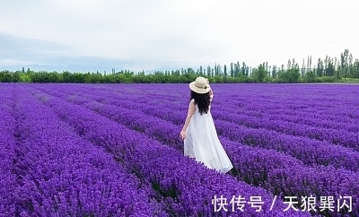 陈一菲|产后5天:不伺候月子,让你吃打包剩菜又怎样?最好没用到我那天