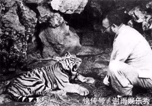 戒酒|张大千醉酒画虎被高价买走,他万分羞愧,从此立誓戒酒,永不画虎