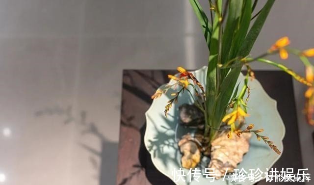 小宅|58岁小姐姐的诗意生活入户庭院,中式小宅,这才是将生活过成诗!