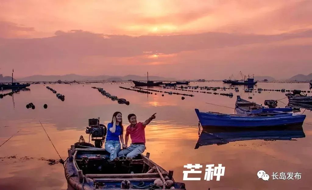 谷雨|长岛版二十四节气壁纸，够浪漫~