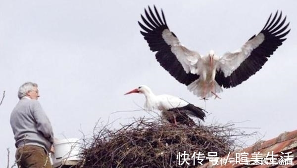 禅诗#南宋高僧的禅诗，被讹传为王维所写，曾入选小学课本，很多人会背