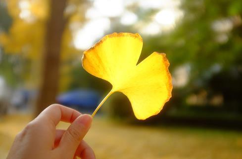 一个女人 真正聪明的女人,懂得“不闻不问”