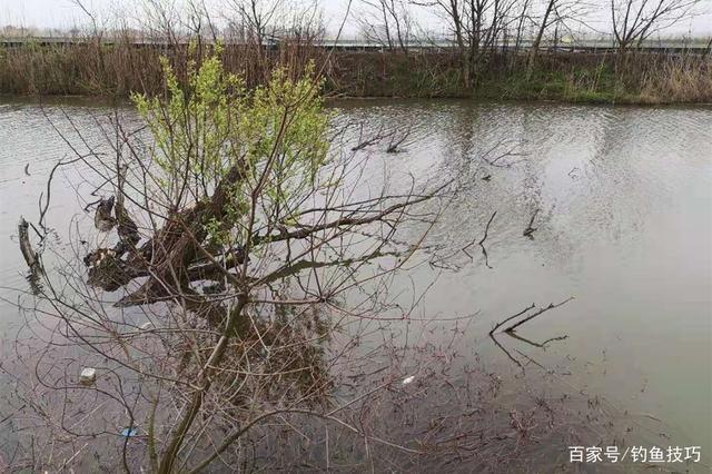 冬季钓野河,不是每段都有鱼,要找这4种位置,鲫鱼基本躲在这里