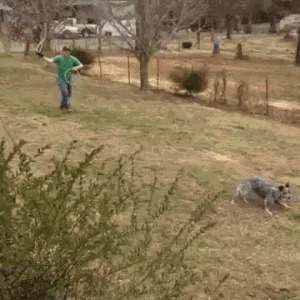 |搞笑GIF:火车站见到的情形,看到这一幕我又相信爱情了