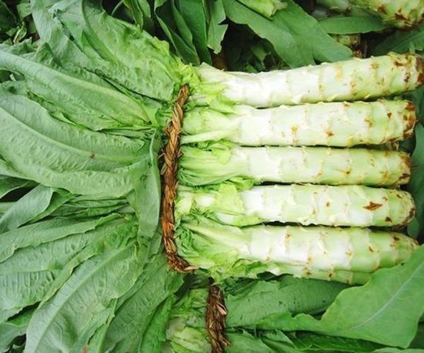 宁愿不吃也别碰以下4种“蔬菜”,寄生虫“成堆”,喜欢也要少吃