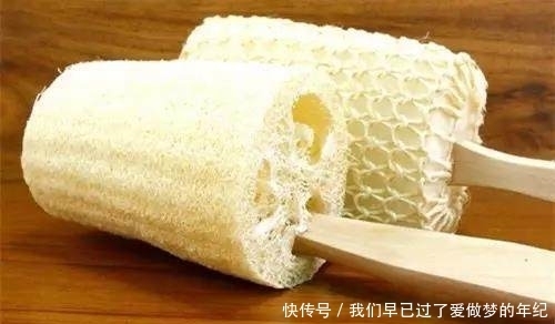 花盆里放点它,不黄叶不烂根,年年花开不断,后悔知道晚了