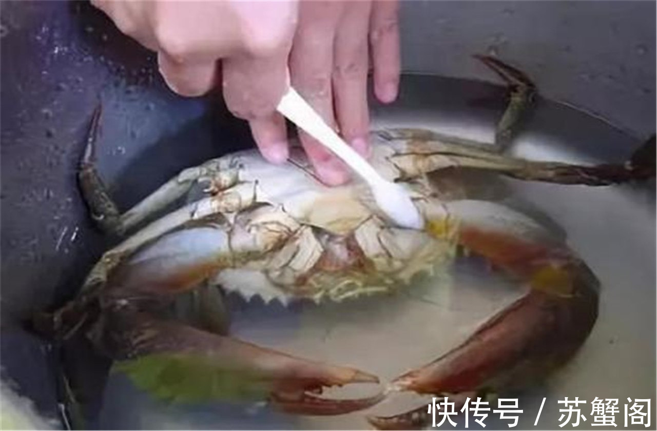 蒸螃蟹时，用热水还是冷水？许多人做错，难怪蟹黄外流，腿掉一锅