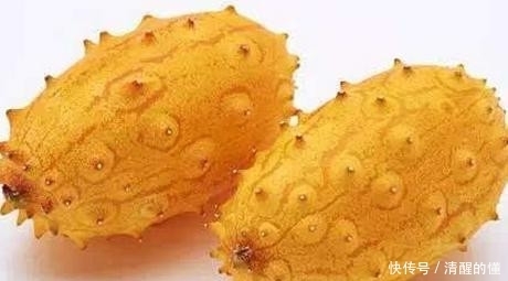 奇异理由|这些奇葩治病水果，我赌你认识不超过3个！