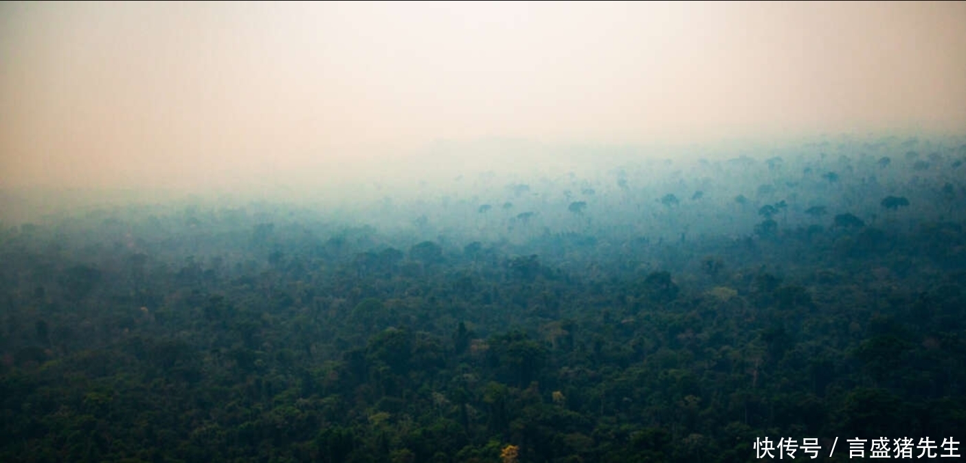 流域 更大的灾难来临?科学家警告:亚马逊逼近崩溃,开始加速地球变暖