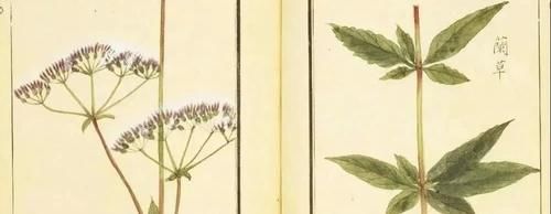 为什么有些不化妆的人，也要每天卸妆？