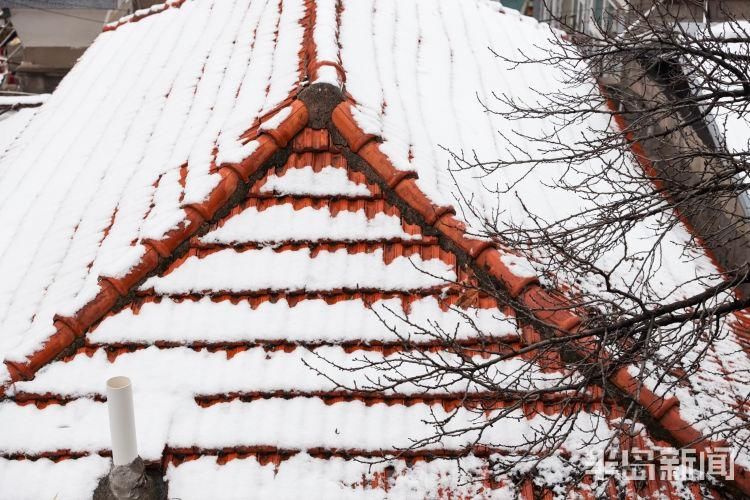 北九水|九水入冬首场雪，银装素裹尽妖娆