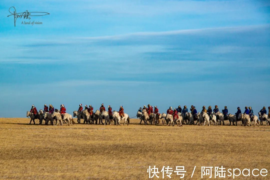 成吉思汗|西乌珠穆沁旗的白马个子不高，块头也不大，却是马群中的贵族