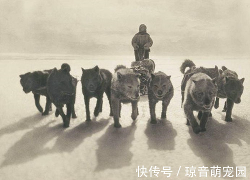 真實身份|史上最強逃犯:負重72斤跑得比狗還快,80年來真實身份成謎