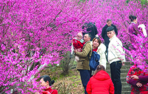 老年|欢乐祥和迎新年