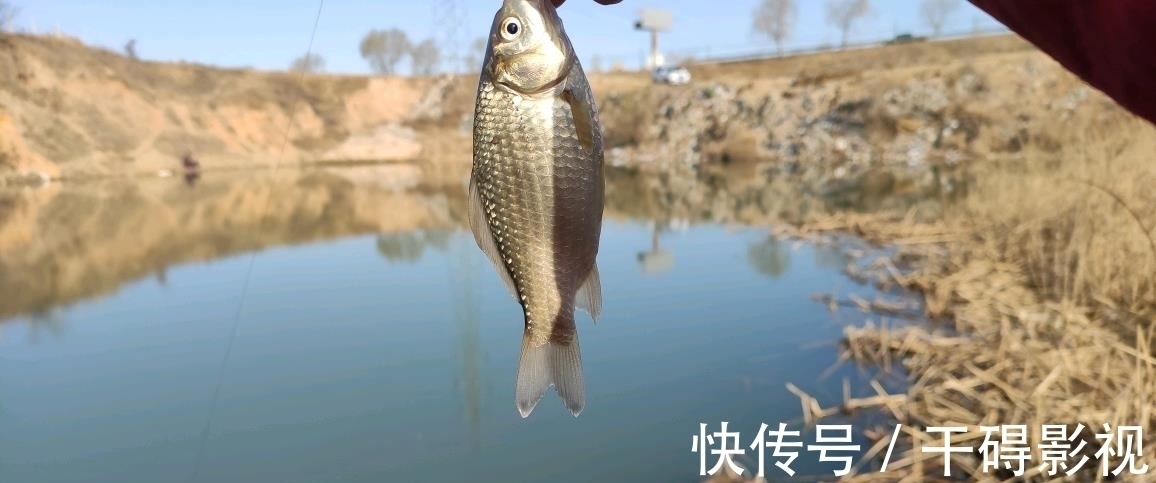 钓友|冬季鲫鱼晒太阳不咬钩，换饵，换漂皆无用，别瞎折腾了用这招吧