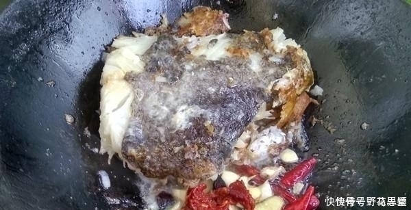 国人最看不起的鱼,却比鲤鱼营养美味,5元一斤却无人问津
