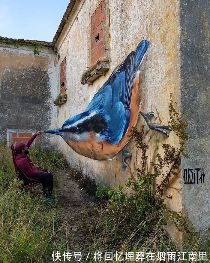 真假|18张令人惊叹的裸眼3D画,一面墙凭空消失,狗都分不清真假一直叫