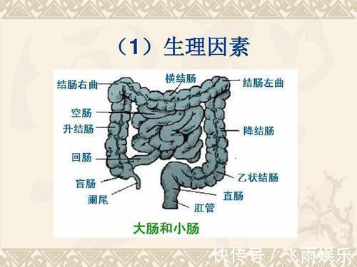 排便|提醒便秘的人,身边的肠道“润滑剂”要多利用,排便或许更顺畅