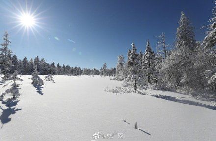 凤凰山|雪深超一米！黑龙江凤凰山高山雪原风姿初现