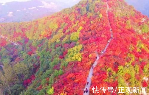 竹林|巩义康百万庄园、竹林长寿山今起恢复开放