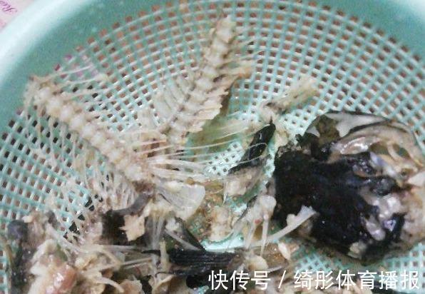 妙招|用啥水浇花长得快、开花多、虫害少？3个妙招，省时省钱又省力