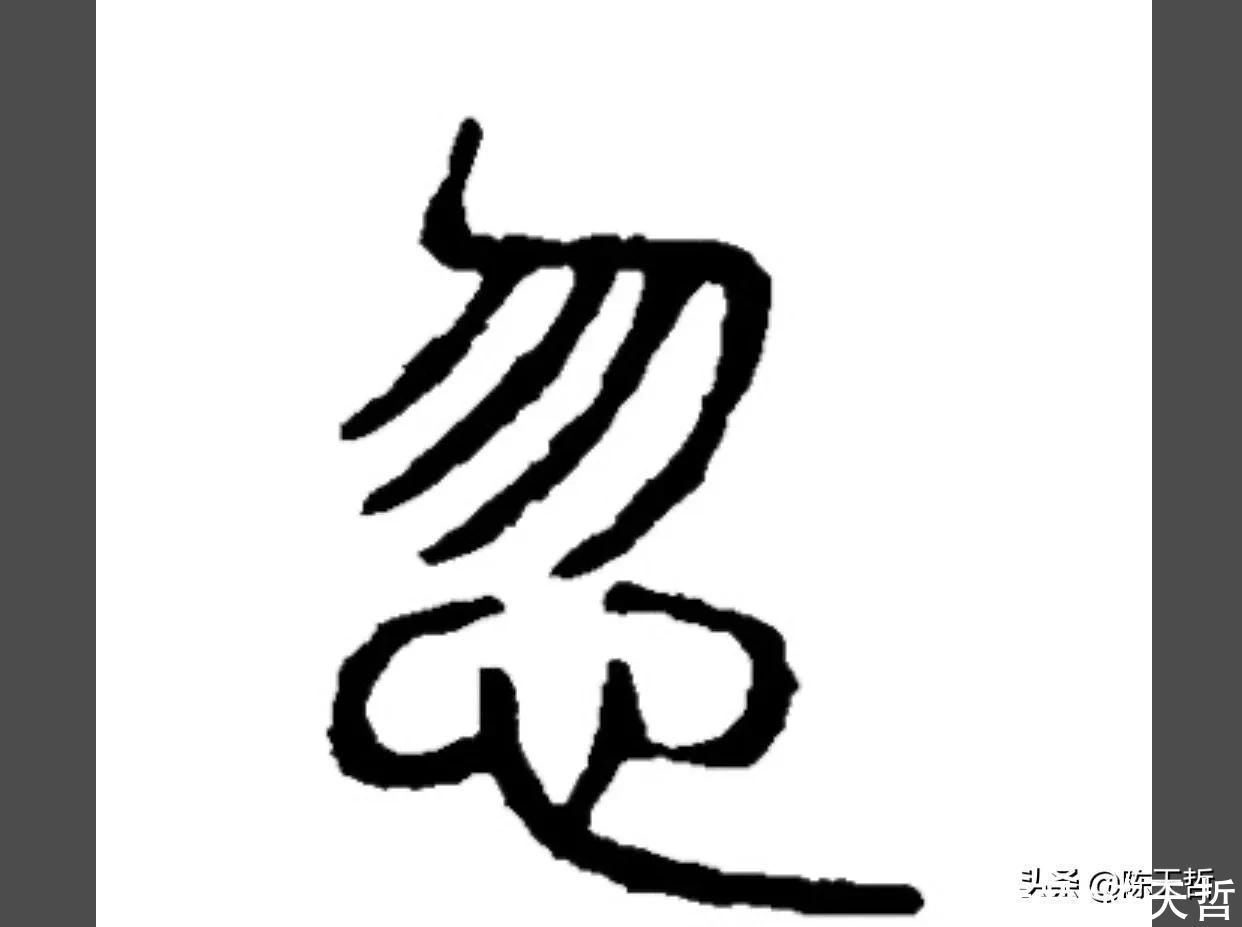 祝允明|怀素之心与张旭、王羲之、祝允明等人相比,是跳动的有旋律的心