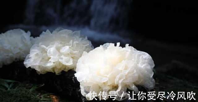 雌激素|女性进入绝经期 吃这6种食物 及时把雌激素补起来！