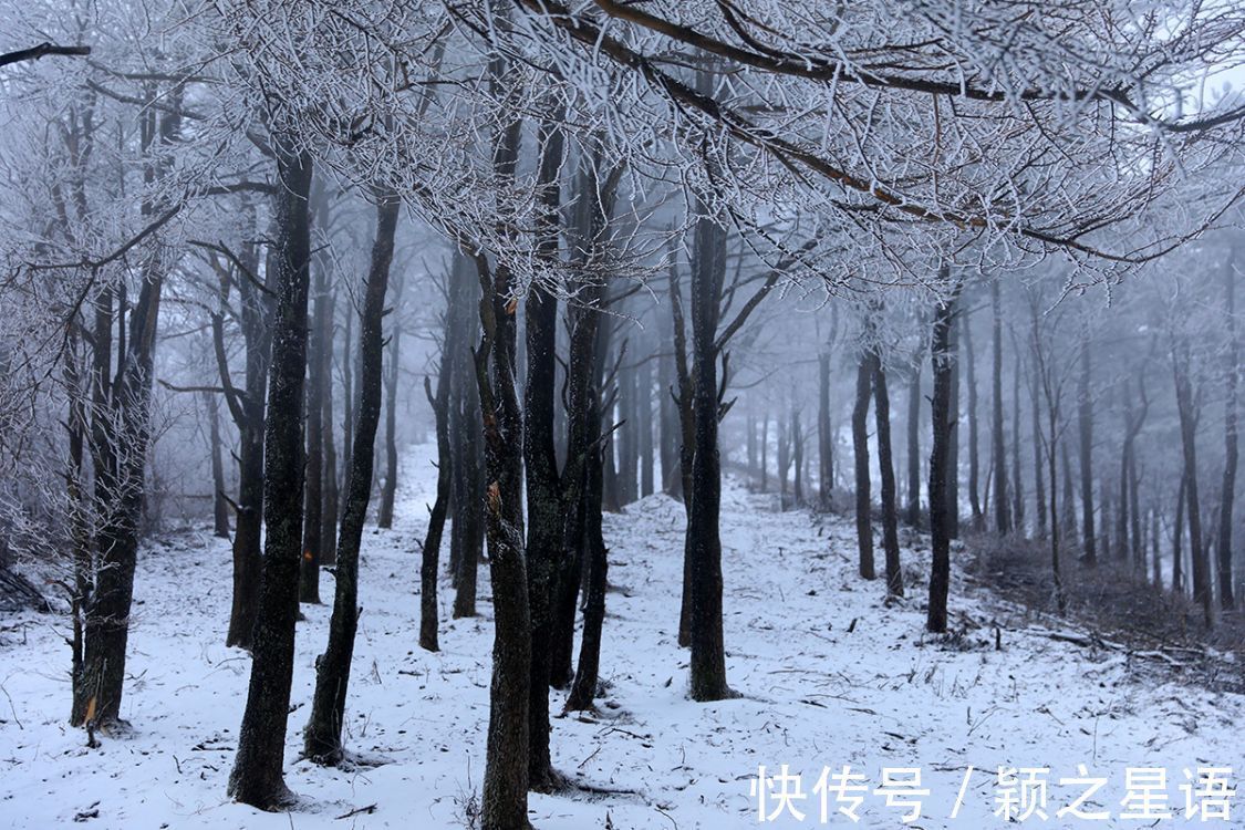 船山|宁波最高峰，冰雪奇缘，到底谁是NO.1