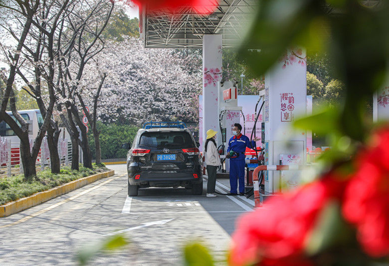 加油站|沪上又添一处赏樱打卡地，“樱韵悠享”主题加油站揭牌