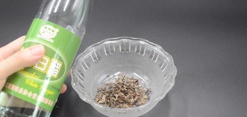 茶叶放白醋里泡一泡,真是厉害了,解决家家都困扰的烦恼,太棒了