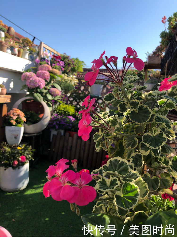 阳台|DIY改造17㎡屋顶花园，忙得不亦乐乎，在喧嚣城市打造一隅静谧