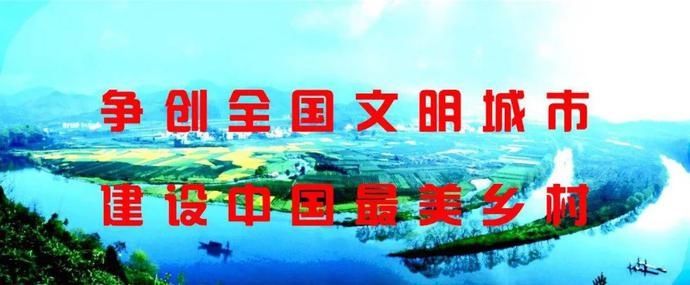 驾驶|尊老敬老爱老,交通安全最重要!