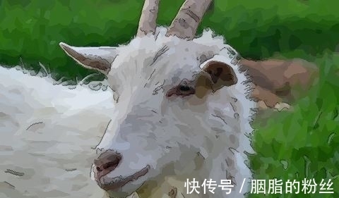 福星高照|2021年，财神眷顾，财势走俏，收入倍增，身价攀升的3个生肖