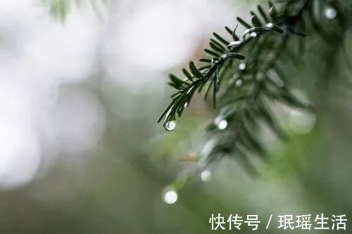 这首诗@李商隐最好懂的一首诗,却依旧留下了千年难解的谜题