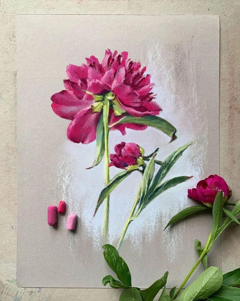 花瓣#太疯狂了!原来用粉笔画画,也可以这么美,简单几招教你,美到邻居羡慕嫉妒