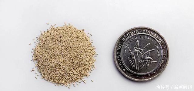 面团|手撕面包这样做,柔软筋道又拉丝,一层一层撕着吃,太香了