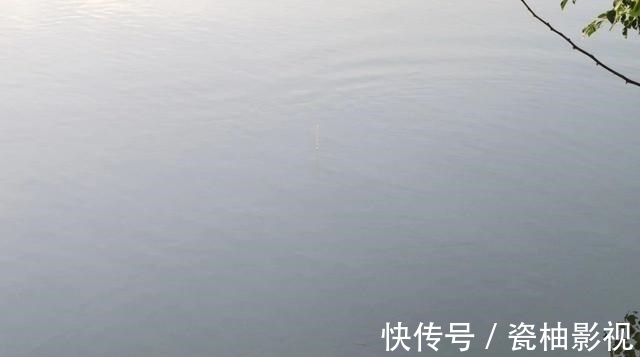浮漂|如何判断窝子里有没有鱼?这几个方法一定要学会!