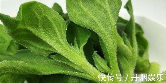 蛇瓜|想长寿全靠吃,3种食物离不开,排毒养颜,滋润身体!