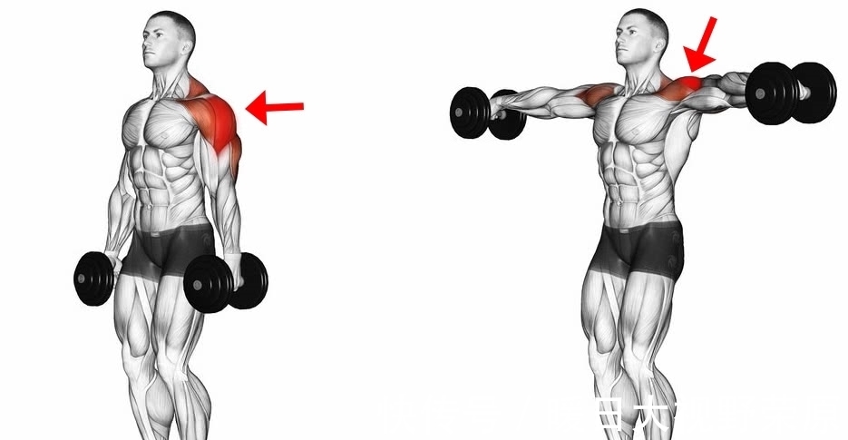 训练|三角肌中束练习选择经典的侧平举动作，找不到发力感原因是什么？