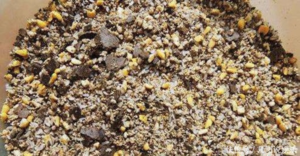 长竿短线|冬钓鲫鱼基本规律,觉得冬季鱼难钓,那是这些基本套路没掌握!