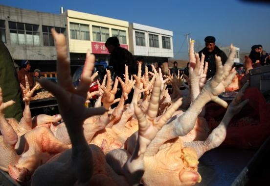 杀鸡时，鸡肚子里有一大块“黄油”，是丢掉还是吃进去？涨知识了