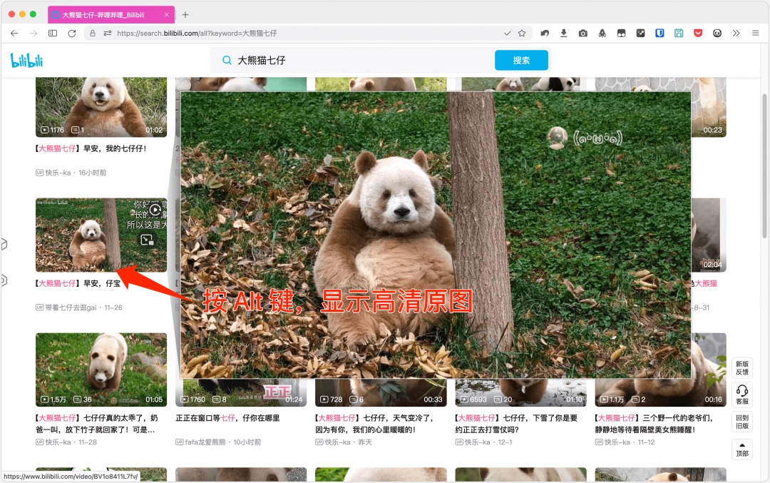 彩蛋发掘,图片浏览增强能让你的浏览器少装 10 个扩展!-HEU8