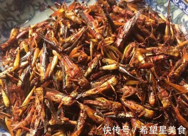 去农村表姐家吃饭，表姐做了农家柴火饭，吃完之后停不下来太香了！