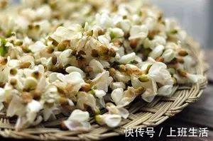 槐花|农村此野花,泡水喝清肝泻火,软化血管,降血压,一年只采摘一次