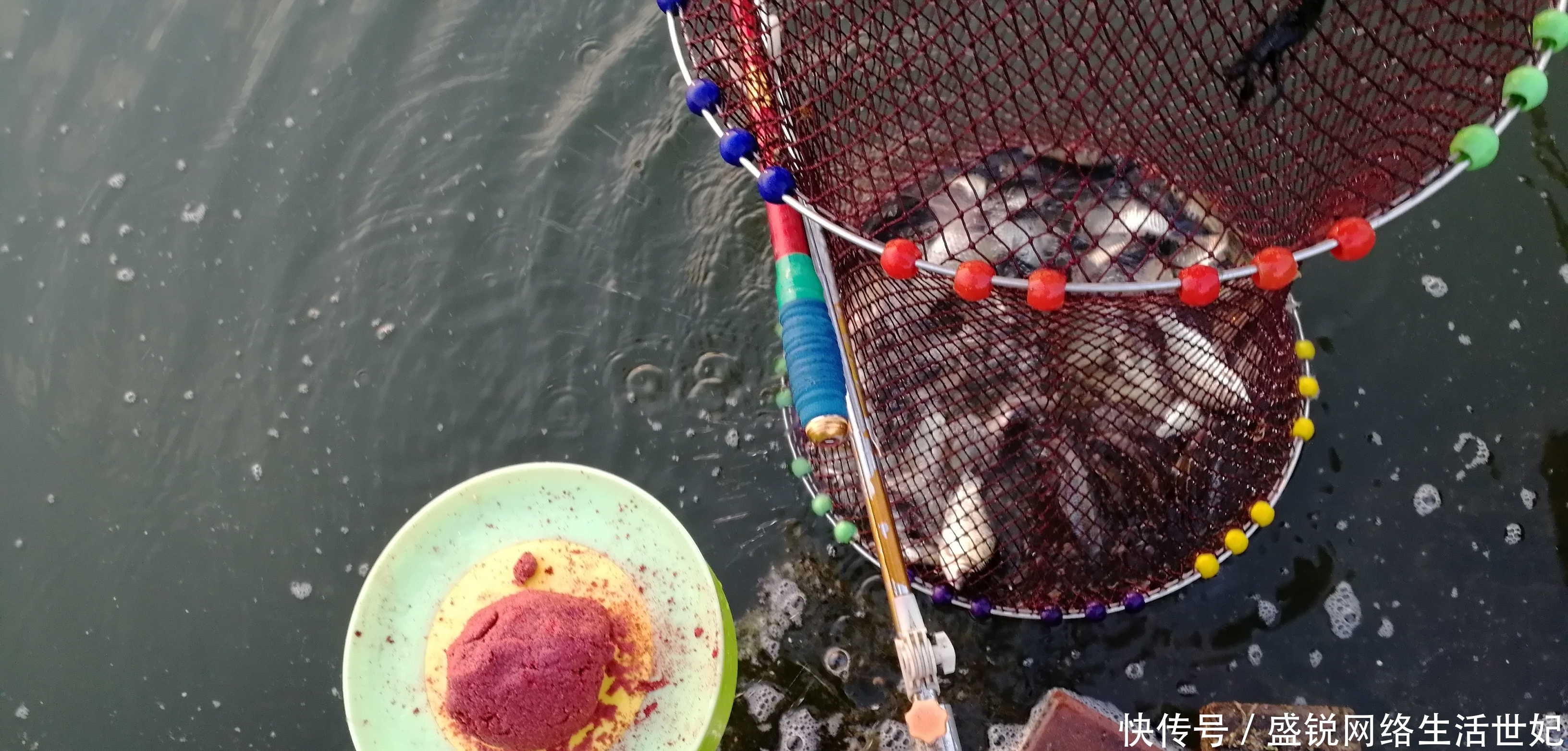 钓不好鱼别总认为是饵料有问题,原因可能出在这,别不信!