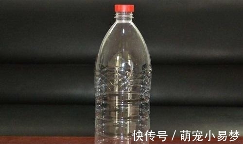 奶油|家里没有打蛋器?教你一招,2分钟快速打发丝滑奶油