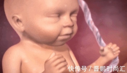 肚子|除了睡觉,胎儿在妈妈肚子里干啥呢?每个妈妈都应该看看