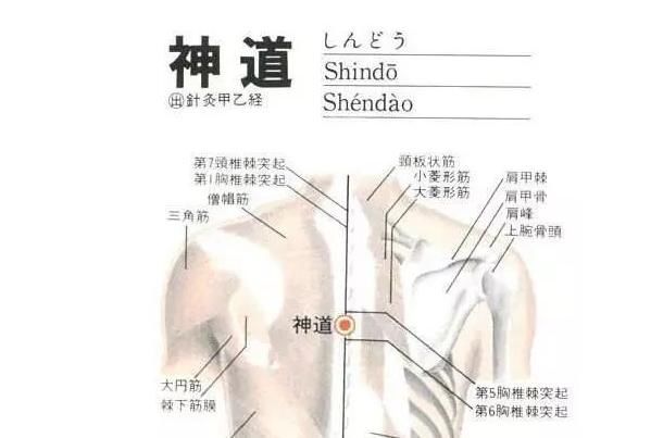  吃药|75个全身疾病特效穴，治病不花钱，一穴稳准狠！比吃药效果好10倍