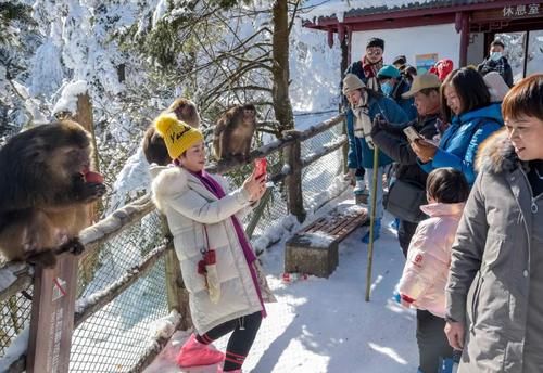 【新闻纪实】津门网李豫龙:峨眉“冬韵”